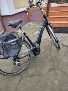 Rower elektryczny SPARTA ION 250W 28'' z Przyczepką dla psa 