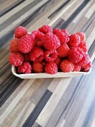 Malina Maliny luzem lub w 0.5kg pojemnikach