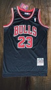 Mitchell and Ness Bulls Jersey 23 Micheal Jordan 
