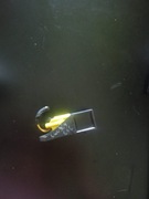 VW CZUJNIK SENSOR AIRBAG 6Q0909606 INDEKS 0G 