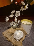 Komplet dekoracyjny świeca, mydło i roślina kwiatowa