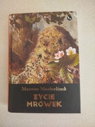 Książka Życie mrówek - Maurice Maeterlinck