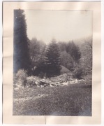 Międzygórze ok.1900r FOTOGRAFIA DUŻA TEKTURA  x209