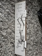 Duża naklejka na ścianę kostek szkielet ciało człowieka