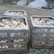 Wapień Filipiński Kamień do Akwarium Filipino kora Bazalt Chrzanów