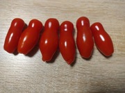 Aurija mini koktajlowy