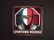 Vlepki kolekcjonerskie Resovia Rzeszów
