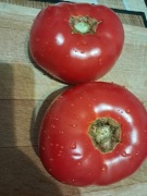 Nasiona pomidor Sandoline min. 10szt.