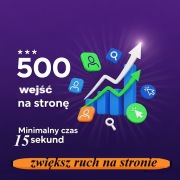 wejścia na stronę - 500 unikalnych wejść na stronę 15 sekund