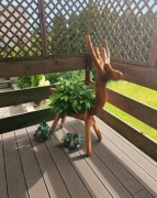 Donica doniczka jelonek sarenka kwietnik Dostępne od ręki 