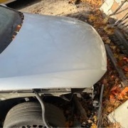 Srebrna Maska paassat b6