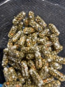 Kapsułki nawozowe do roślin akwariowych 35szt.