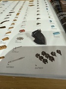 Lego 10333 Barad Dur Tarcza 6484323