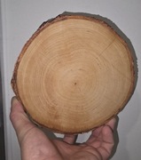 Plastry brzozowe  SZLIF 18-20cm