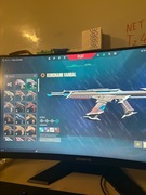 Konto valorant dużo skinów 