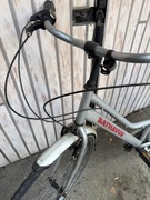 Rower damski batavus