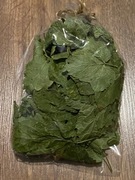 Liście czarna porzeczka - suszone 