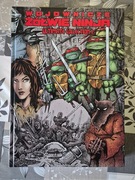 Wojownicze Żółwie Ninja - Ultimate Collection Tom 1