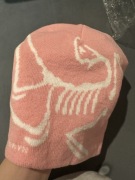 Czapka arcteryx unisex