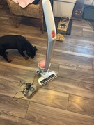 Odkurzacz pionowy akumulatorowy Argos