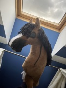Hobby horse A3 Gniady 