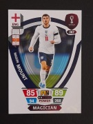WORLD CUP QATAR 2022 MAGICIAN 367 Mount