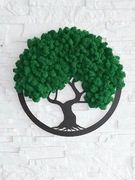 Obraz 3d, drzewko życia, mech chrobotek 40cm