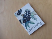 Aronia. J. Kleparski Z. Domino
