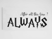 Harry Potter Always jak Displate plakat metalowy obraz na aluminium 80x40