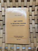 Jerzy Kukulski - Sądy gminne w królestwie polskim