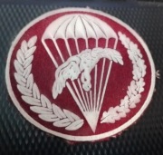 Naszywka desant 6bpd lwp