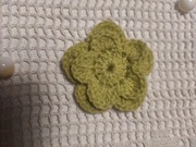 Kwiatek seledynowy, włóczka 