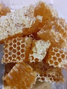 Plaster miodu. Miód w plastrach. Miód żywyj ramka