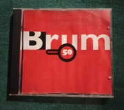 CD BRUM NUMER 50 NOWA! Kazik Acid Drinkers Illusion Flapjack