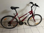 Author Vectra, damka, rama 18