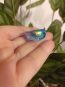 Nowy pierścionek z żywicy różne kolory 