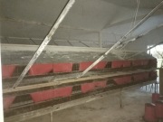 Gniazda automatyczne Jansen 20m