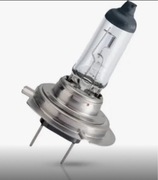 Żarówka mijania H7 Toyota Proace city inne