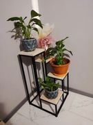 Kwietnik z 4 podstawkami 