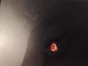 Laptop MSI Leopard GL75