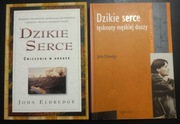 DZIKIE SERCE TĘSKNOTY MĘSKIEJ DUSZY JOHN ELDREDGE + ćwiczenia