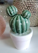 Ceramika kaktus