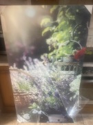 Obraz z widokiem lawendy