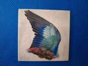 Magnes na lodówkę Skrzydło kraski Albrecht Dürer