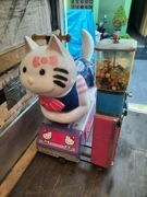 bujak kot zarobkowy hello kitty + automat sprzedający