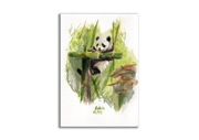 Akwarela ręcznie malowana  Panda