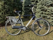 Gazelle Orange rower męski