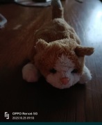 Kotek Hasbro rok 2010 Interaktywny 