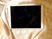 Apple iPad Pro 10,5" A1701 256 GB  