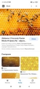 Ule z rodzinami pszczelimi